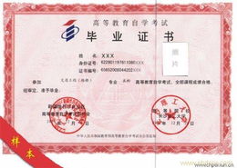 網絡教育前景廣闊，嘉渡教育咨詢上海ebdoor啟航發展新篇章
